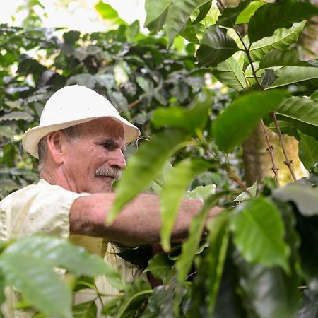 Batsu Ecolodge & Coffee Farm San Ramon  Bagian luar foto