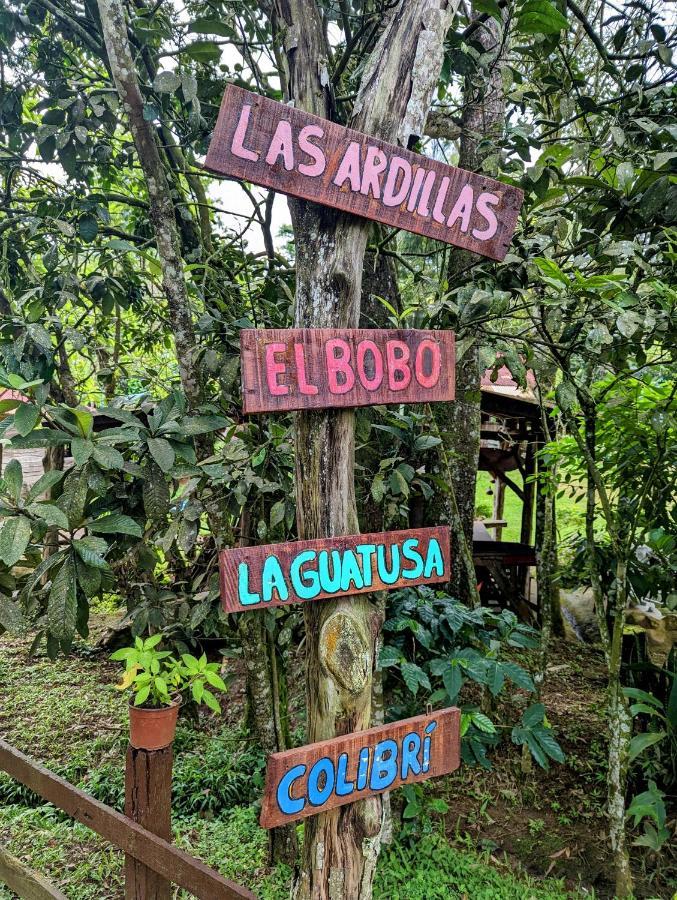 Batsu Ecolodge & Coffee Farm San Ramon  Bagian luar foto