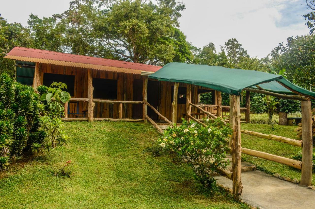 Batsu Ecolodge & Coffee Farm San Ramon  Bagian luar foto