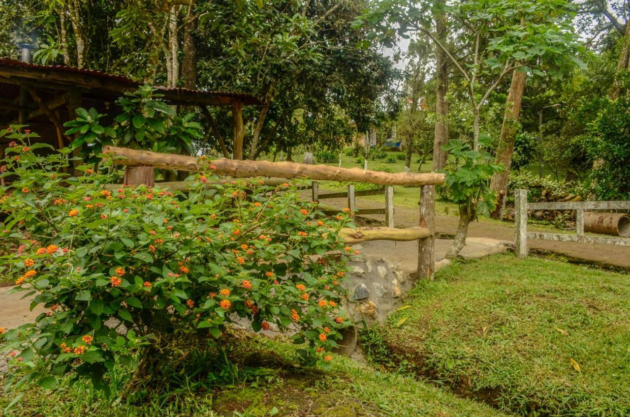Batsu Ecolodge & Coffee Farm San Ramon  Bagian luar foto